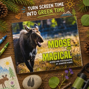 Moose are Magical book cover with nature and art supplies on a wooden table